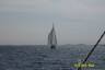 Frankensail Frankensailing Dietz Schweinfurt N�rnberg Bayreuth W�rzburg Gerolzhofen Hassfurt F�rth Hofheim Hof/S. Lichtenfels Kronach Kulmbach Coburg